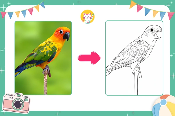 Photo to Coloring Page