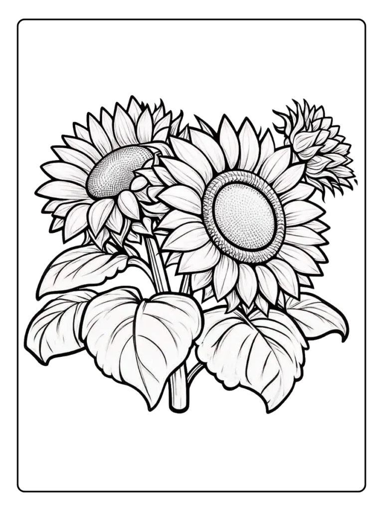 Simple sunflower trio floral coloring sheet